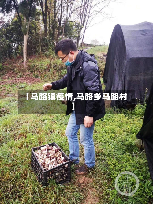 【马路镇疫情,马路乡马路村】
