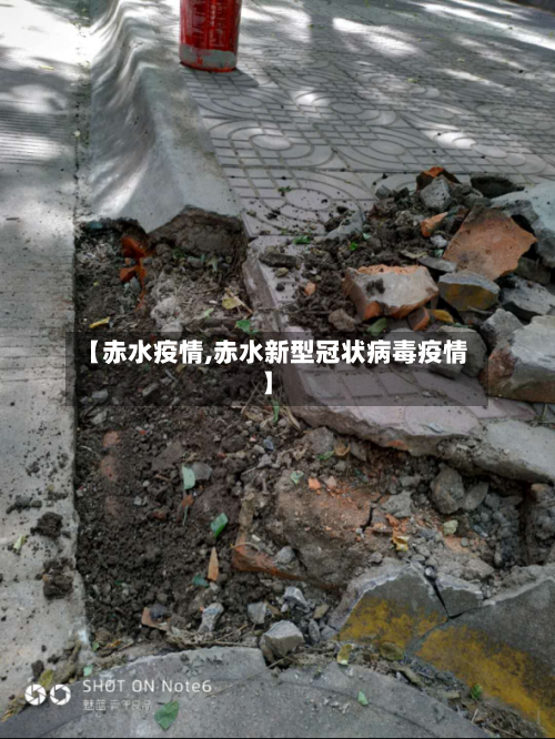 【赤水疫情,赤水新型冠状病毒疫情】