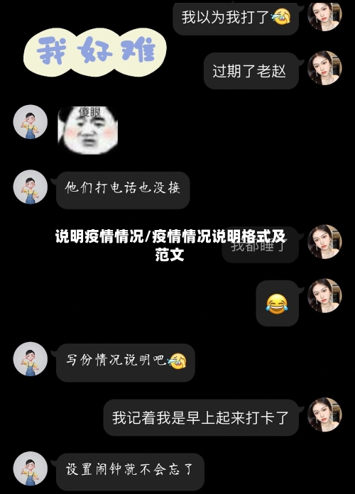 说明疫情情况/疫情情况说明格式及范文