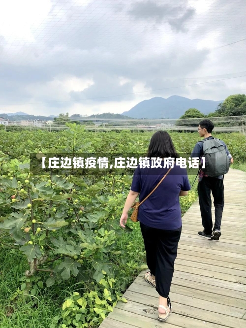 【庄边镇疫情,庄边镇政府电话】