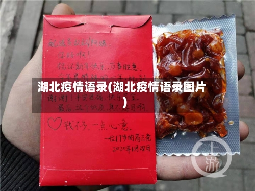 湖北疫情语录(湖北疫情语录图片)