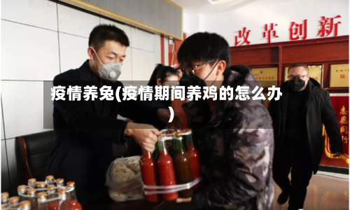 疫情养兔(疫情期间养鸡的怎么办)