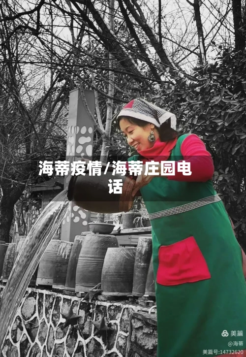 海蒂疫情/海蒂庄园电话