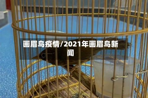 画眉鸟疫情/2021年画眉鸟新闻