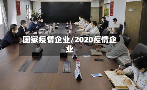国家疫情企业/2020疫情企业