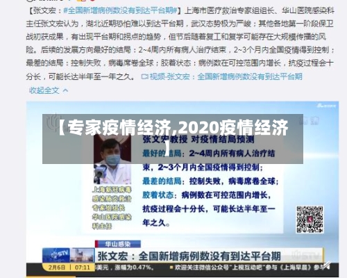 【专家疫情经济,2020疫情经济】