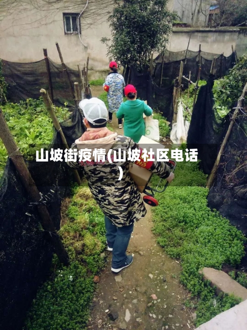山坡街疫情(山坡社区电话)