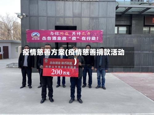 疫情慈善方案(疫情慈善捐款活动)