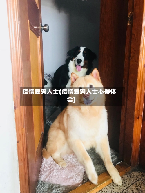 疫情爱狗人士(疫情爱狗人士心得体会)