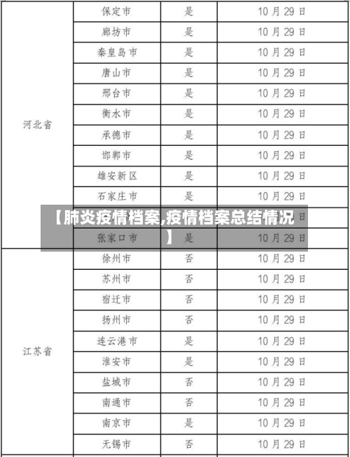 【肺炎疫情档案,疫情档案总结情况】