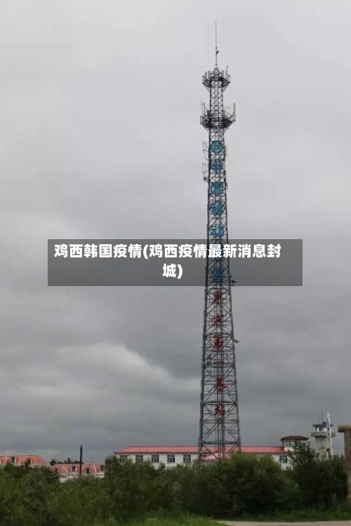 鸡西韩国疫情(鸡西疫情最新消息封城)