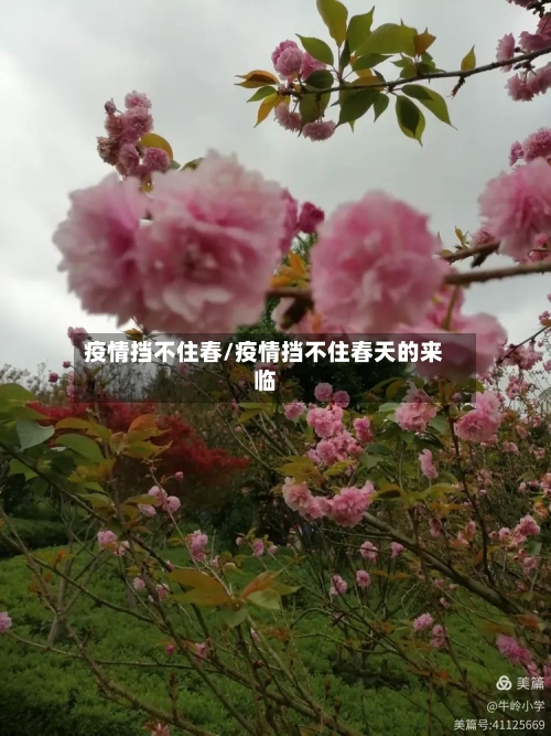 疫情挡不住春/疫情挡不住春天的来临