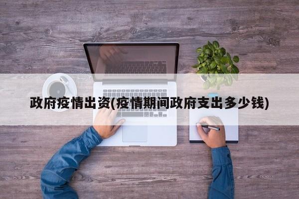 政府疫情出资(疫情期间政府支出多少钱)